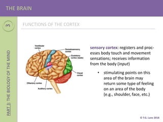 Part 3 (The Biology of Mind) | PPTX