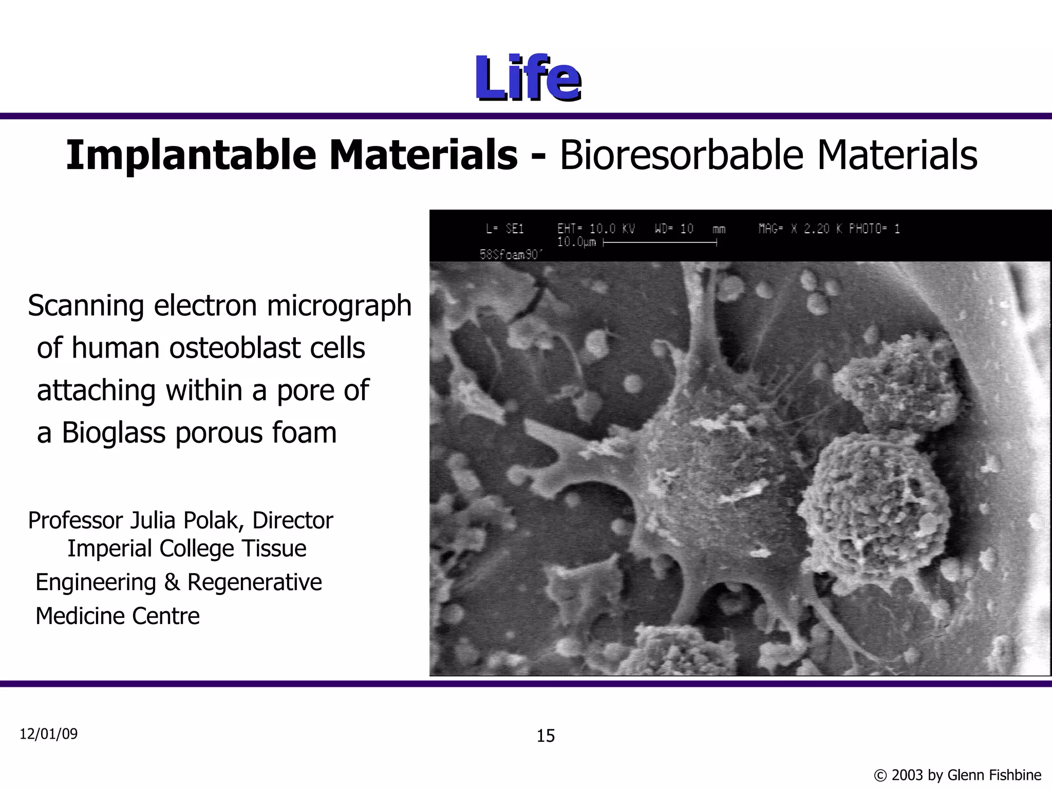Life Implantable Materials -  Bioresorbable Materials Scanning electron micrograph of human osteoblast cells attaching within a pore of a Bioglass porous foam Professor Julia Polak, Director Imperial College Tissue Engineering & Regenerative Medicine Centre 