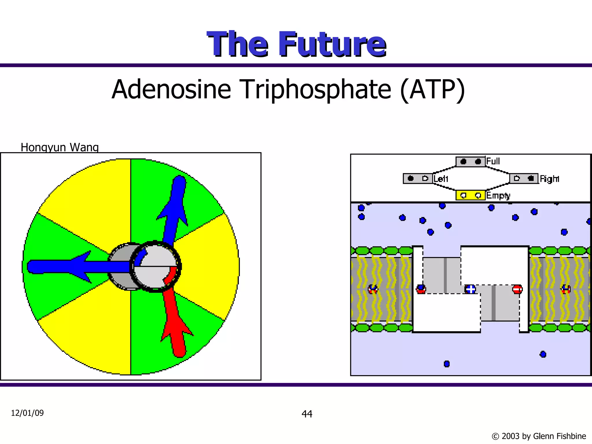 The Future Adenosine Triphosphate (ATP) Hongyun Wang 