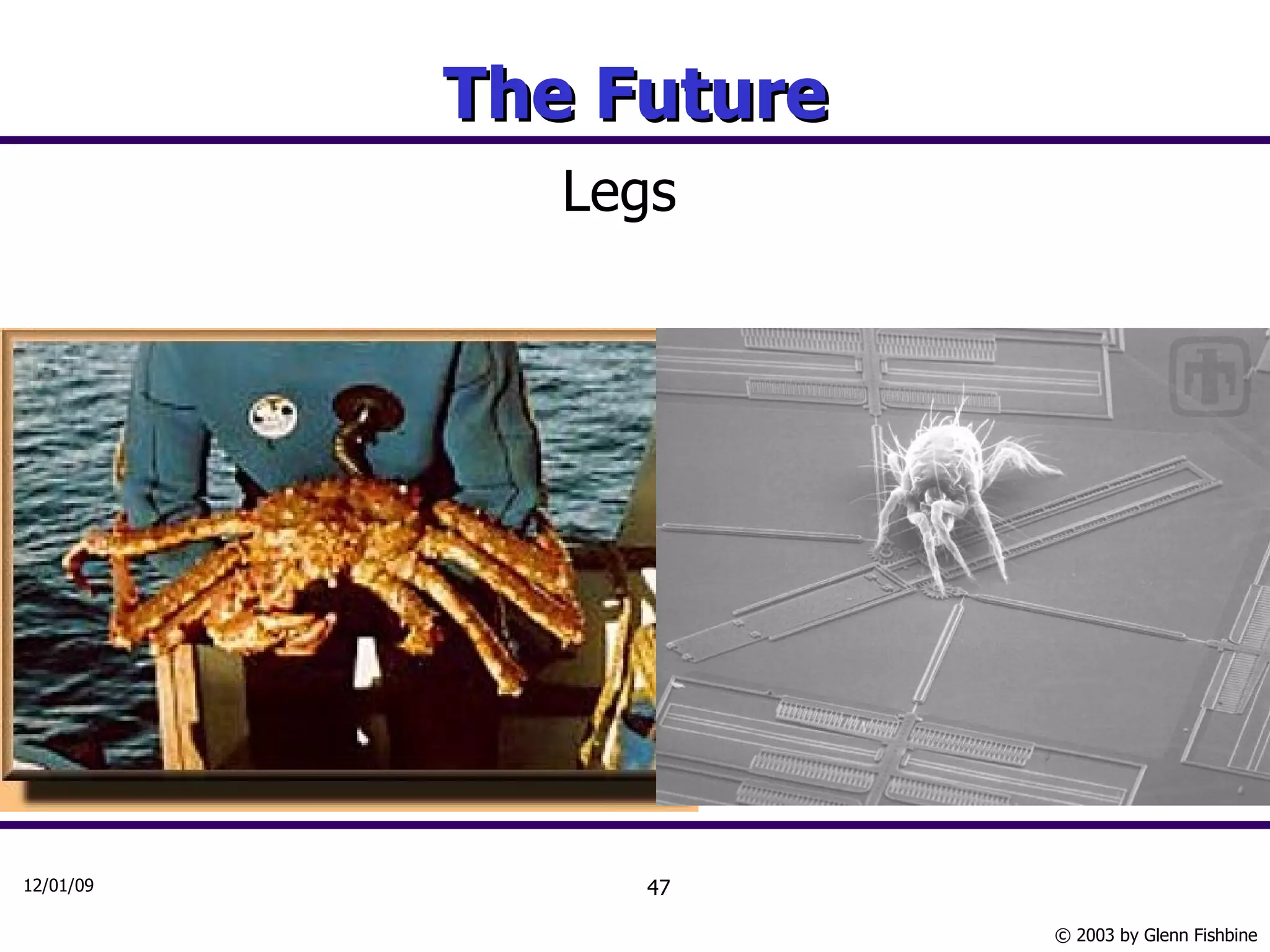 The Future Legs 