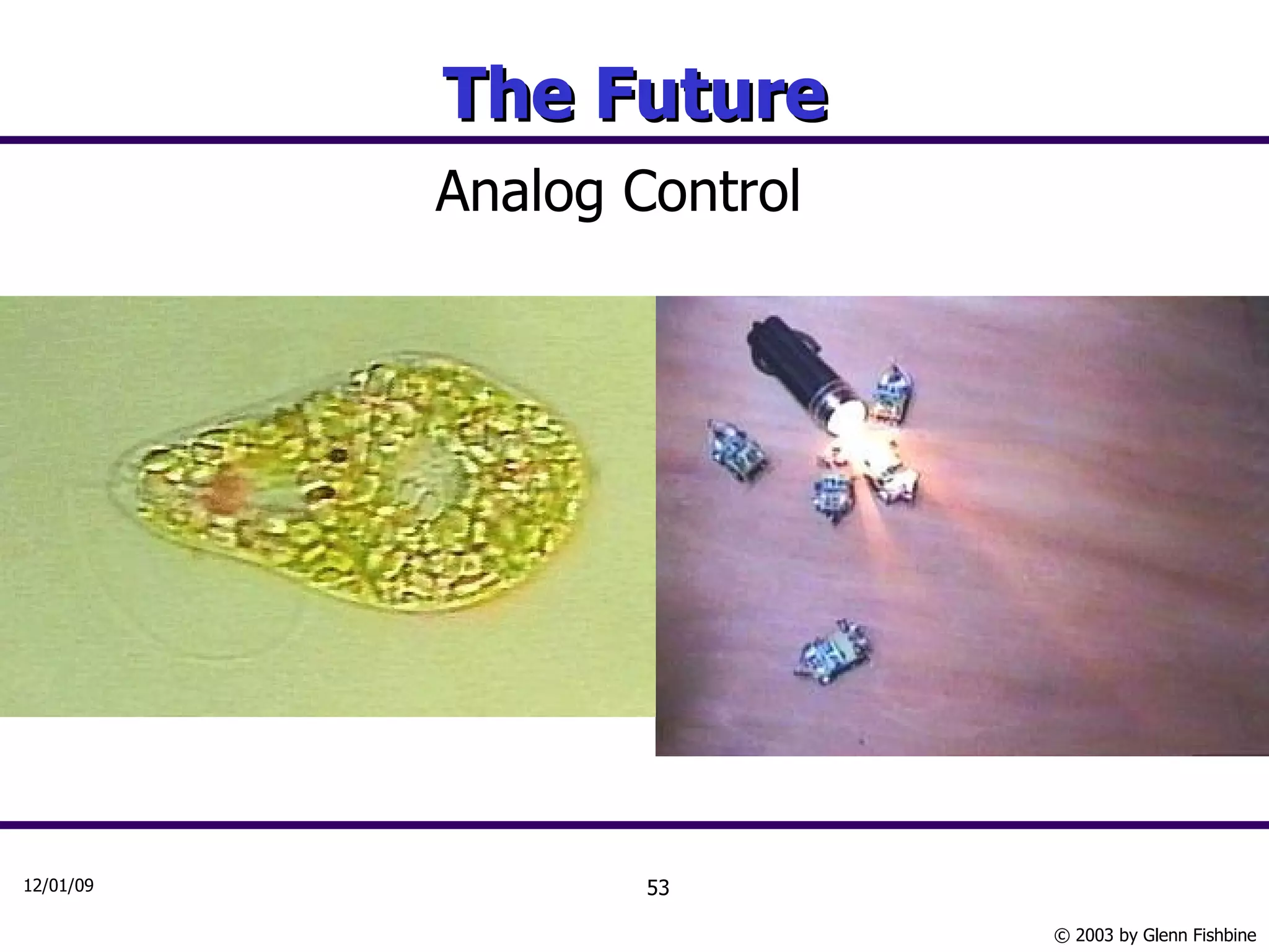 The Future Analog Control 