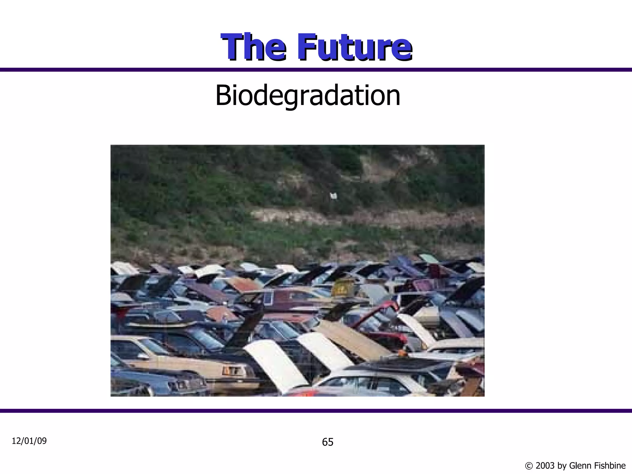 The Future Biodegradation 