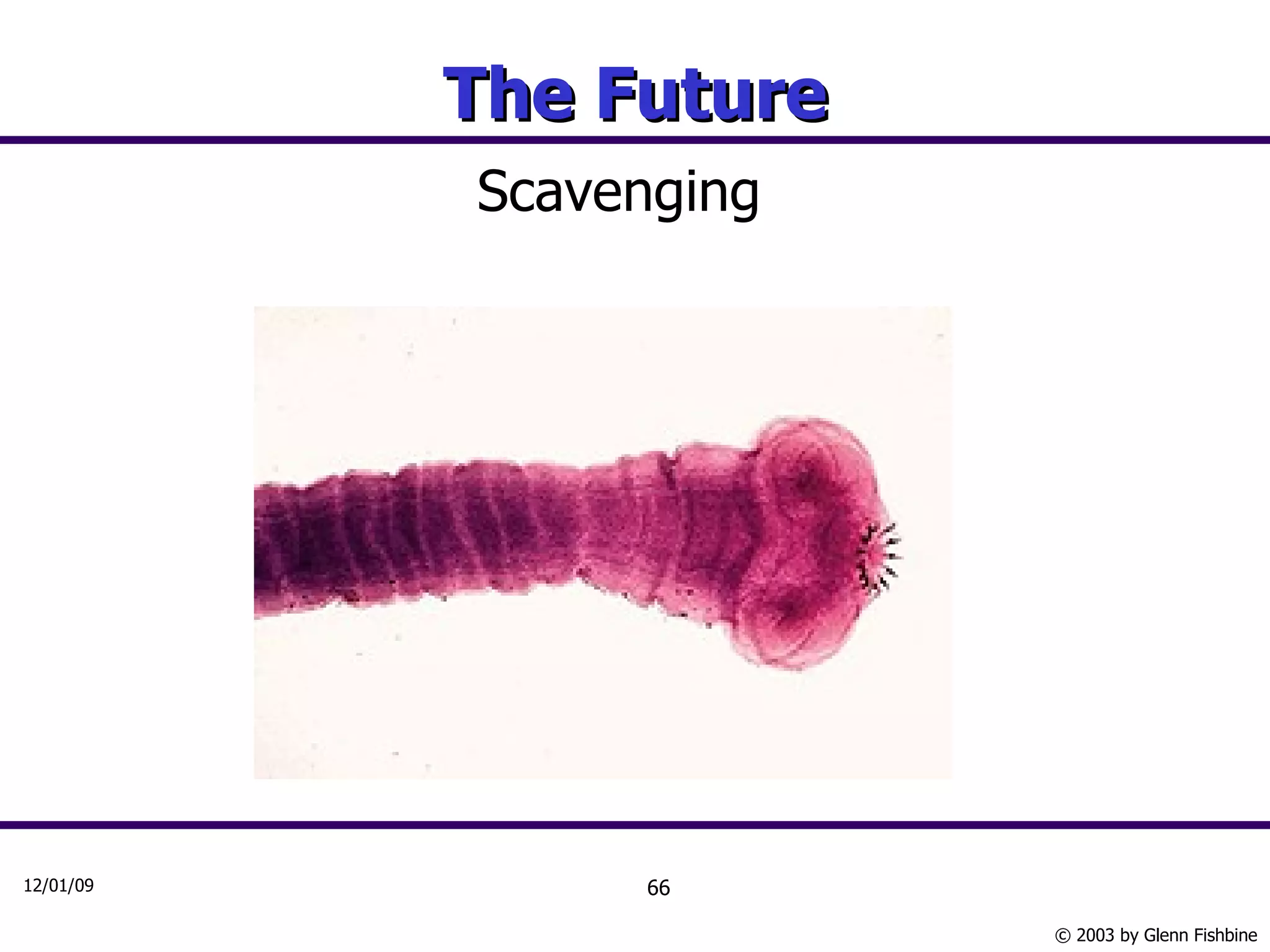 The Future Scavenging 