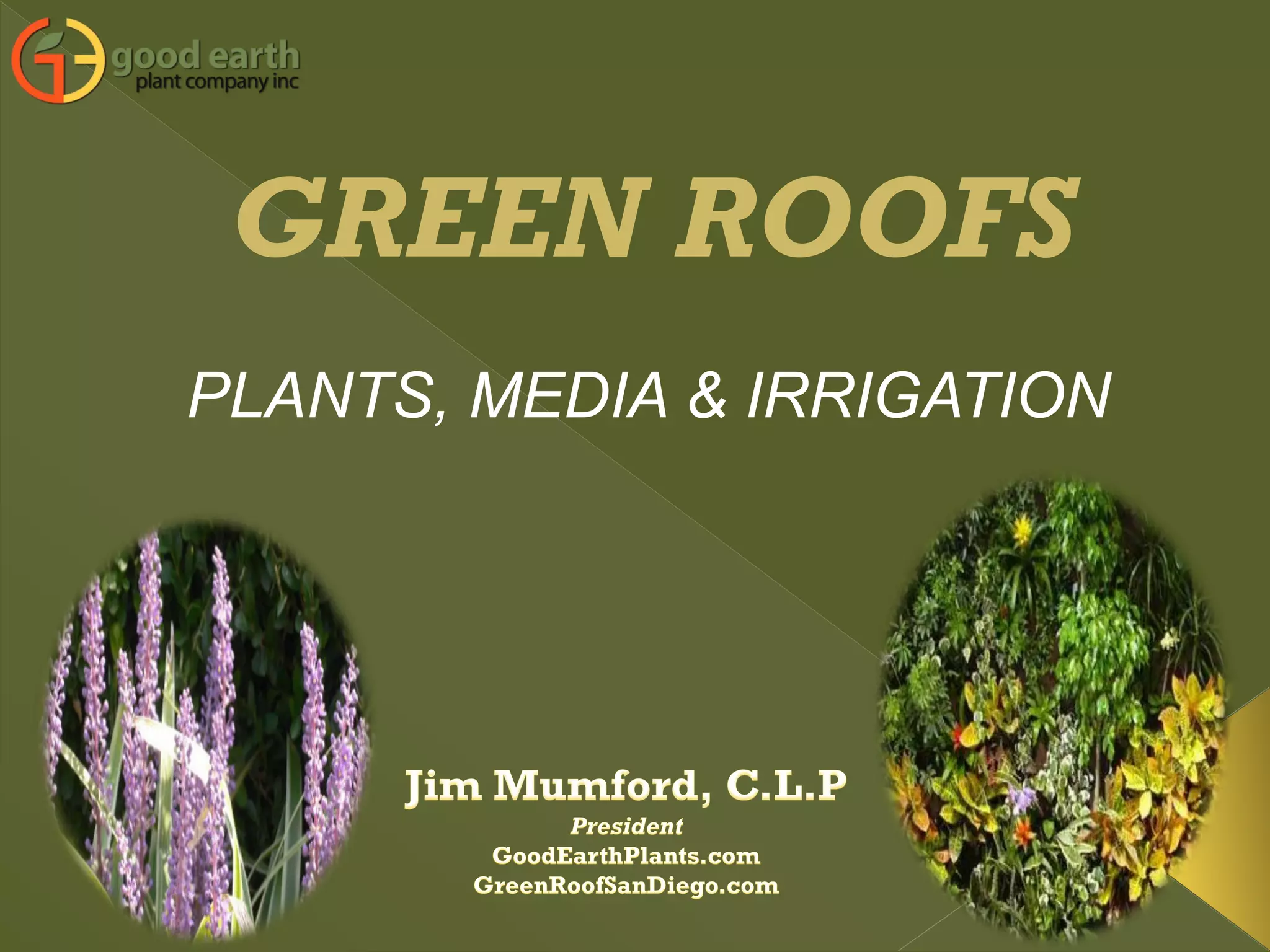 GREEN ROOFS
PLANTS, MEDIA & IRRIGATION