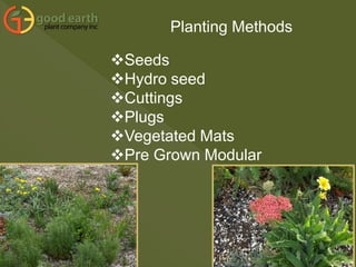 Planting Methods
Seeds
Hydro seed
Cuttings
Plugs
Vegetated Mats
Pre Grown Modular