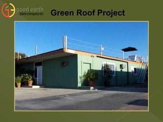 Green Roof Project