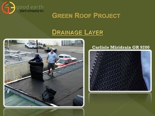 Carlisle Miridrain GR 9200