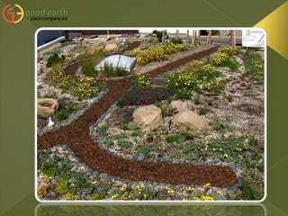 Part 4. Green Roofs 9.11.09