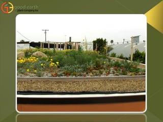 Part 4. Green Roofs 9.11.09