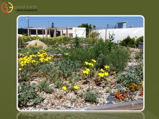 Part 4. Green Roofs 9.11.09