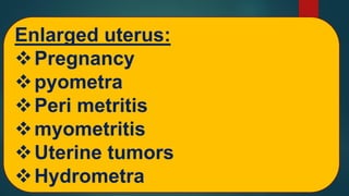 Pyometra Cow Part 4 Pyometra in Farm Animals Prof Dr Hamed Attia.pdf