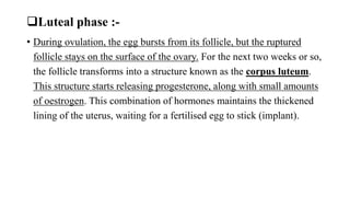 Luteal phase :-
• During ovulation, the egg bursts from its follicle, but the ruptured
follicle stays on the surface of the ovary. For the next two weeks or so,
the follicle transforms into a structure known as the corpus luteum.
This structure starts releasing progesterone, along with small amounts
of oestrogen. This combination of hormones maintains the thickened
lining of the uterus, waiting for a fertilised egg to stick (implant).
 
