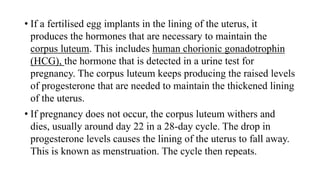 • If a fertilised egg implants in the lining of the uterus, it
produces the hormones that are necessary to maintain the
corpus luteum. This includes human chorionic gonadotrophin
(HCG), the hormone that is detected in a urine test for
pregnancy. The corpus luteum keeps producing the raised levels
of progesterone that are needed to maintain the thickened lining
of the uterus.
• If pregnancy does not occur, the corpus luteum withers and
dies, usually around day 22 in a 28-day cycle. The drop in
progesterone levels causes the lining of the uterus to fall away.
This is known as menstruation. The cycle then repeats.
 
