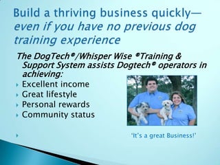Dogtech professional remote trainer sales