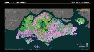 Human Habitat 2013: Alfonso Vegara - Part 5 of 5