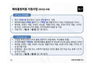 BLT

]
IP Star (IP

)
,3
(PCT) /

•
•
•
•

:

~1

10%)
)

IP Scale Up
)

•
•
•

IP Star(IP

•
)
•
12

:

~2

)

10%)

 