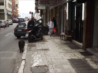 1o Γυμν Βολου_ECOMOBILITY 2013-14_Περπατωντας στο κεντρο του Βολου Part5