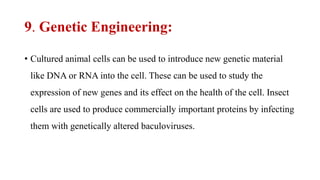9. Genetic Engineering:
• Cultured animal cells can be used to introduce new genetic material
like DNA or RNA into the cell. These can be used to study the
expression of new genes and its effect on the health of the cell. Insect
cells are used to produce commercially important proteins by infecting
them with genetically altered baculoviruses.
 