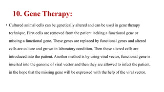 10. Gene Therapy:
• Cultured animal cells can be genetically altered and can be used in gene therapy
technique. First cells are removed from the patient lacking a functional gene or
missing a functional gene. These genes are replaced by functional genes and altered
cells are culture and grown in laboratory condition. Then these altered cells are
introduced into the patient. Another method is by using viral vector, functional gene is
inserted into the genome of viral vector and then they are allowed to infect the patient,
in the hope that the missing gene will be expressed with the help of the viral vector.
 