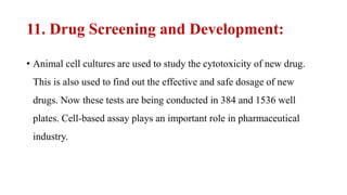 11. Drug Screening and Development:
• Animal cell cultures are used to study the cytotoxicity of new drug.
This is also used to find out the effective and safe dosage of new
drugs. Now these tests are being conducted in 384 and 1536 well
plates. Cell-based assay plays an important role in pharmaceutical
industry.
 