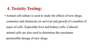 4. Toxicity Testing:
• Animal cell culture is used to study the effects of new drugs,
cosmetics and chemicals on survival and growth of a number of
types of cells. Especially liver and kidney cells. Cultured
animal cells are also used to determine the maximum
permissible dosage of new drugs.
 
