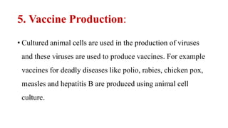 5. Vaccine Production:
• Cultured animal cells are used in the production of viruses
and these viruses are used to produce vaccines. For example
vaccines for deadly diseases like polio, rabies, chicken pox,
measles and hepatitis B are produced using animal cell
culture.
 