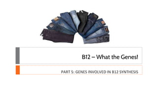 B12 – What the Genes!
PART 5: GENES INVOLVED IN B12 SYNTHESIS
 