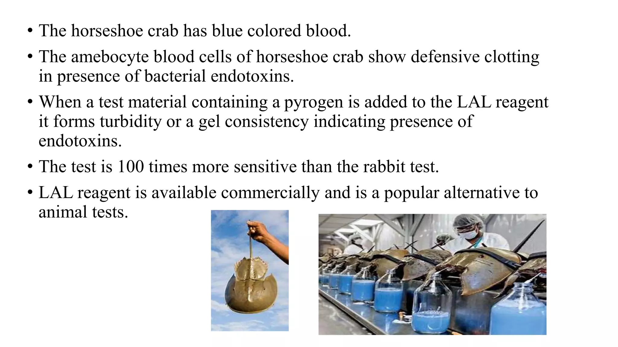 Testing Solids Sterility testing products (solids, liquids, ophthalmic and other ...