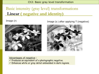 image processing intensity transformation | PPT