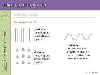 Pattern Perception Example Part 7 (Sensation and Perception) | PPTX