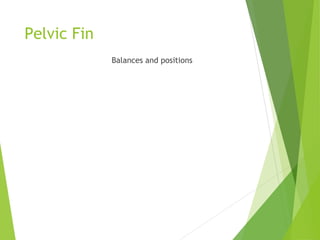 Pelvic Fin
Balances and positions
 