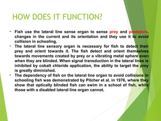 Part and functions of fish organs | PPT