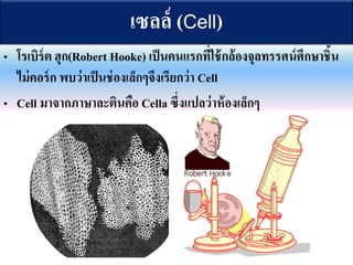 ? ???????? ???(Robert Hooke) ??????????????????????????????????????
???????? ????????????????????????????? Cell
? Cell ????????????????? Cella ???????????????????
????? (Cell)
 