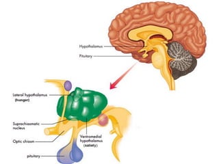 Part cell&homeo acr_2