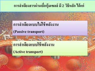 ??????????????????????????????? ?? 2 ???????? ??????
??????????????????????????
(Passive transport)
???????????????????????
(Active transport)
 