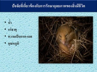 ???????????????????????????????????????????????????
? ???
? ???????
? ???????????-???
? ????????
 