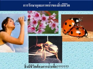 ????????????????????????????????
?????????????????????????????????
 