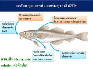 ??????????????????????????
??????????? ???????????????????????
??????????????????????????????????
?????????????
??????????????????????
??? Active transport
??????????????????????????
?????????????
??????????????????????????????????????????
??????????????
?????????????
??????
???.???? Hypertonic
solution ?????????
 