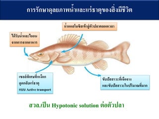 ??????????????????????????????????????????
????????????????
??????????????
????????????????????????????????
???????????????????
??????????????
??? Active transport
????????????????????
???????????????????????????
???.???? Hypotonic solution ?????????
 