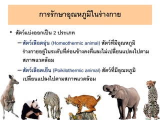 ?????????????????????????
? ???????????????? 2 ??????
C?????????????? (Homeothermic animal) ??????????????????
????????????????????????????????????????????????????????
???????????
C?????????????? (Poikilothermic animal) ??????????????????
???????????????????????????
 