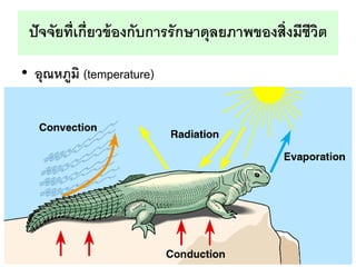 ???????????????????????????????????????????????????
? ???????? (temperature)
 