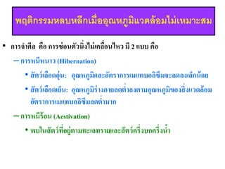 ?????????????????????????????????????????????
? ???????? ??? ??????????????????????????? ?? 2 ??? ???
C?????????? (Hibernation)
? ??????????????: ????????????????????????????????????????????
? ??????????????: ???????????????????????????????????????????????
???????????????????????????
C?????????? (Aestivation)
? ??????????????????????????????????????????????????
 