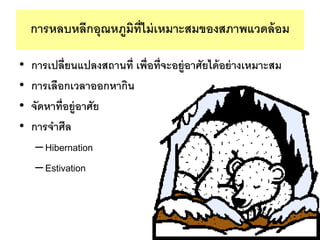 ?????????????????????????????????????????????
? ????????????????????? ??????????????????????????????????
? ????????????????????
? ?????????????????
? ????????
CHibernation
CEstivation
 