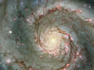 O grau de responsabilidade assumido depende do grau de consciência.  Consumo Responsável 