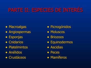 PARTE II: ESPECIES DE INTERÉS <ul><li>Macroalgas </li></ul><ul><li>Angiospermas </li></ul><ul><li>Esponjas </li></ul><ul><...