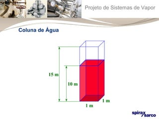 Projeto de Sistemas de Vapor 
11 mm 
11 mm 
1100 mm 
Coluna de Água 
1155 mm 
 