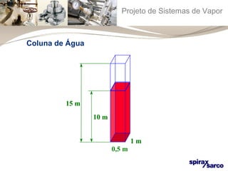 Projeto de Sistemas de Vapor 
11 mm 
1100 mm 
1155 mm 
0,5 m 
Coluna de Água 
 