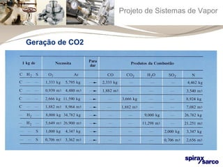 Projeto de Sistemas de Vapor 
Geração de CO2 
 