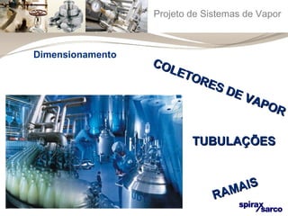 Projeto de Sistemas de Vapor 
Dimensionamento 
COLETORES DE VAPOR 
TTUUBBUULLAAÇÇÕÕEESS 
RAMAIS 
 