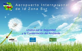 Aeropuerto Internacional  de la Zona Sur Unidos por la Seguridad  y la Conservación del Ambiente 